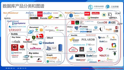 数据库的未来 从“十四五”规划看数据处理与存储支持服务的发展趋势与挑战